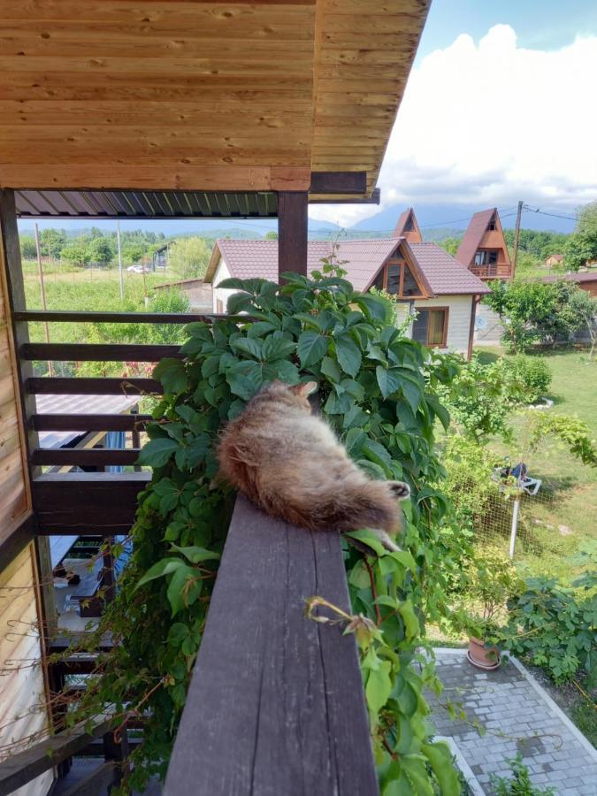 Гостевой Дом Фазенда Hotel Pizunda Exterior foto